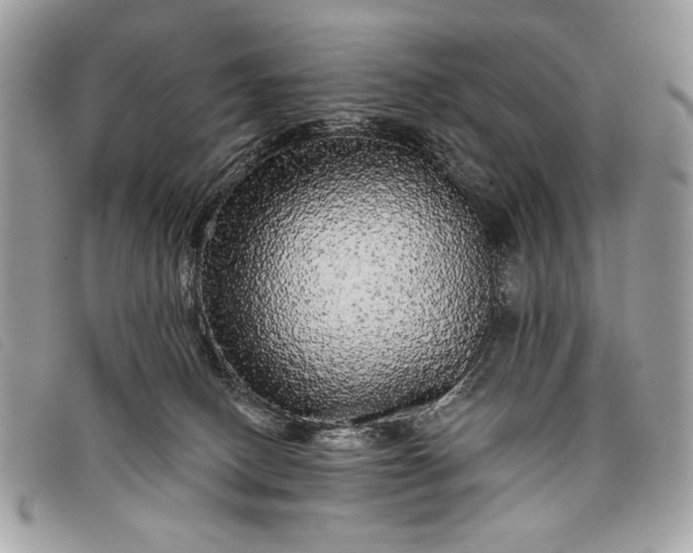 X0000098010082200804111243