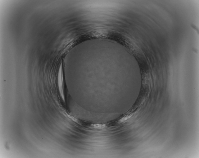 X0000098010084200804111243