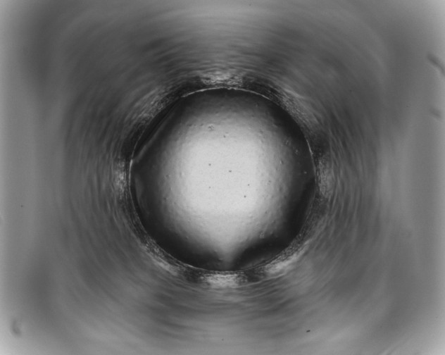 X0000098010085200804111243