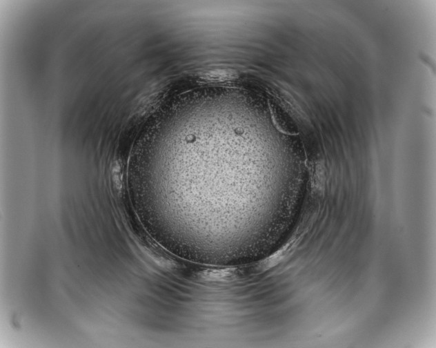 X0000098010086200804111243