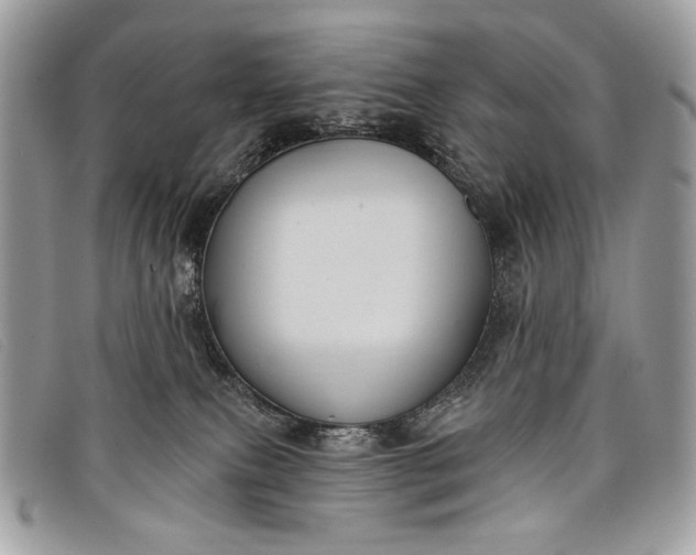 X0000098010087200804111243