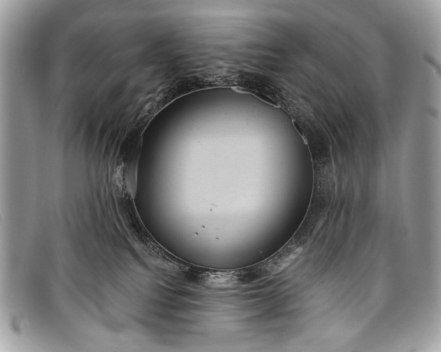 X0000098010088200804111243