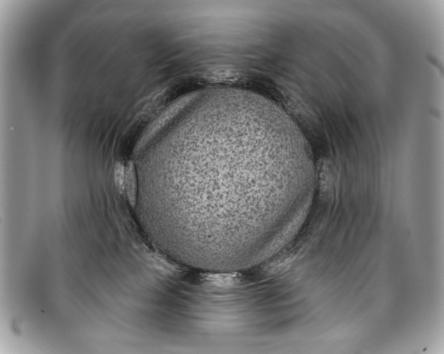 X0000098010089200804111243