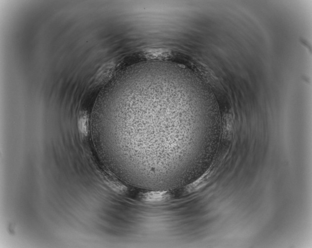 X0000098010090200804111243