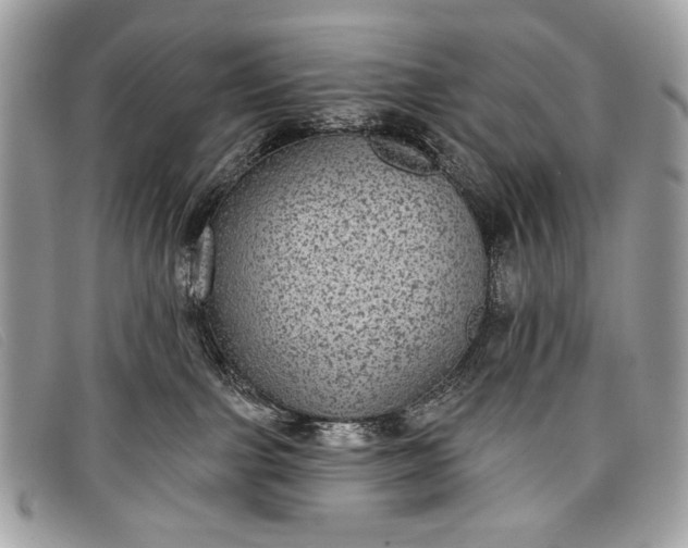 X0000098010091200804111243