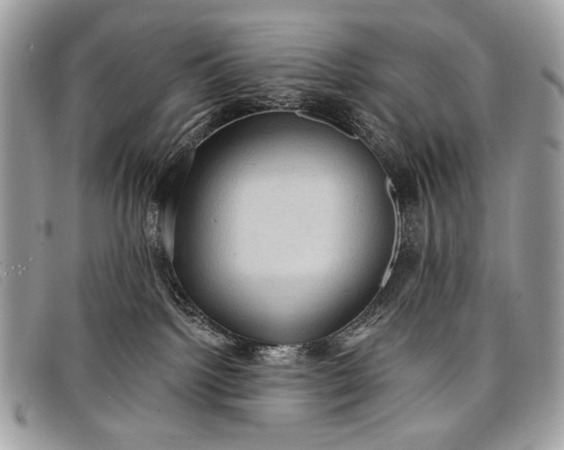 X0000098010092200804111243