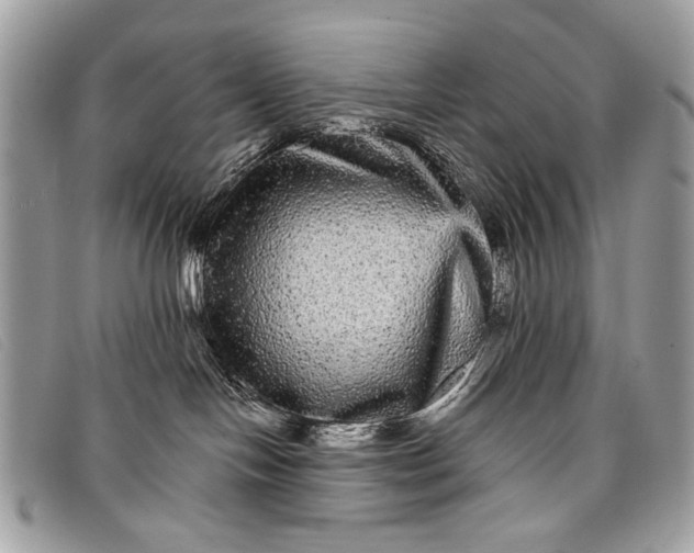 X0000098010094200804111243