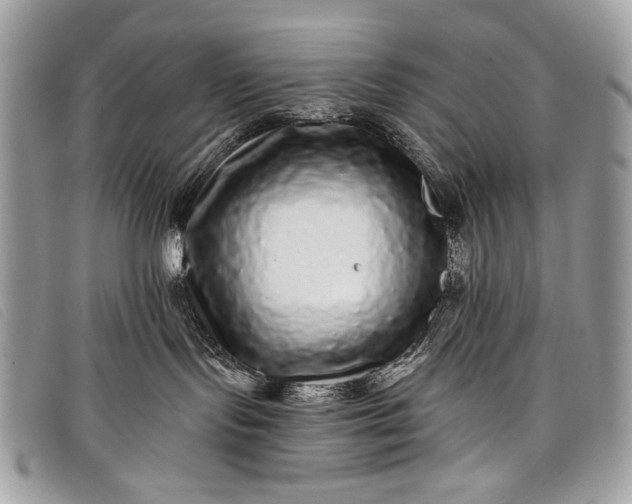 X0000098010095200804111243