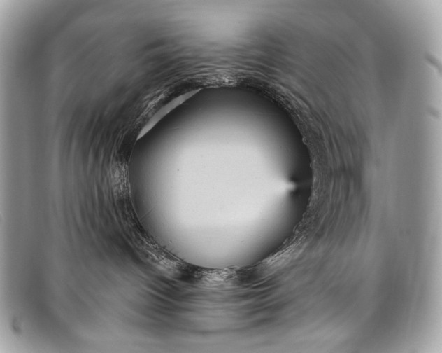 X0000098010096200804111243