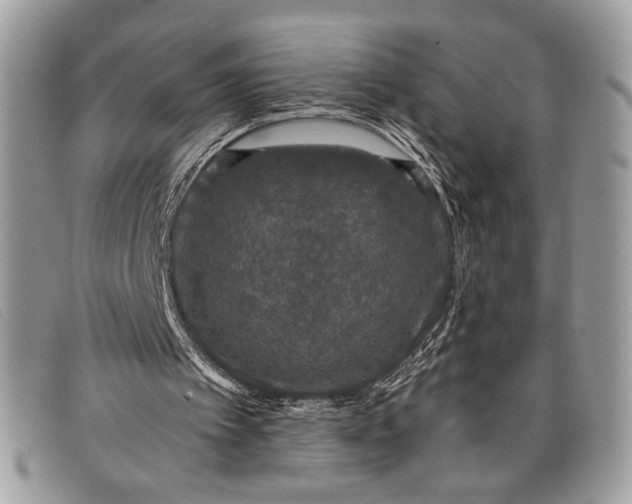 X0000098010097200804111242