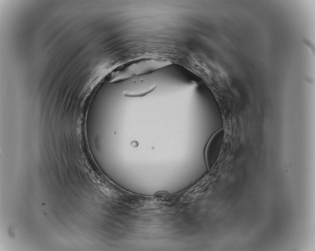 X0000098010098200804111242