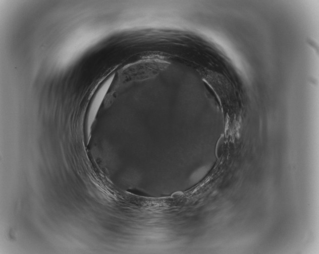 X0000098010099200804111242