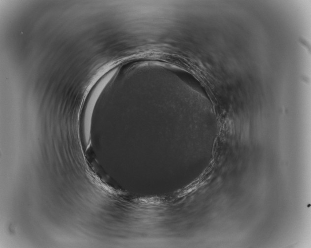 X0000098010100200804111242