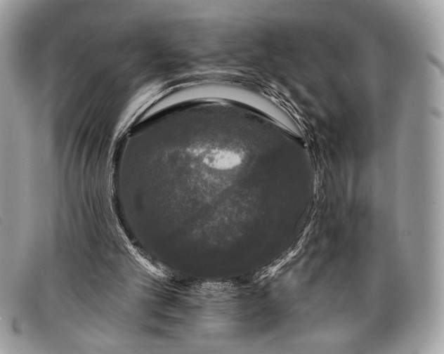 X0000098010101200804111242