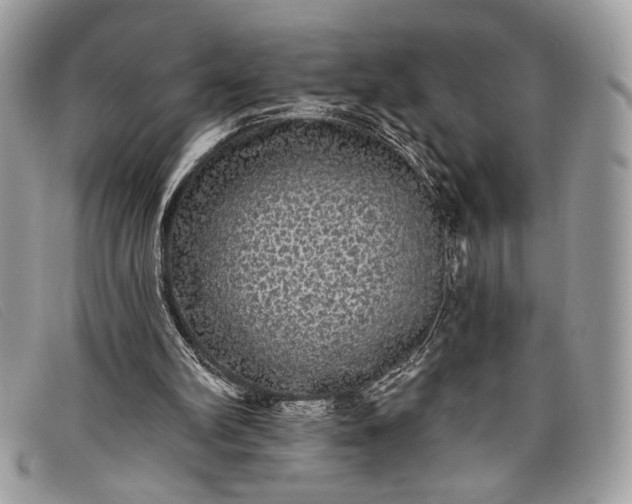 X0000098010102200804111242