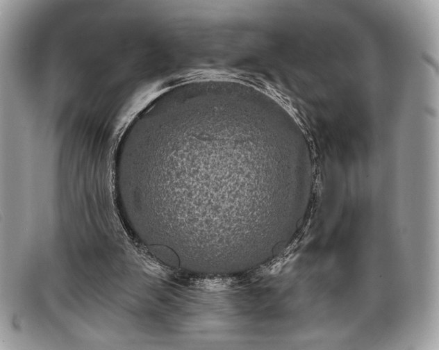 X0000098010103200804111242