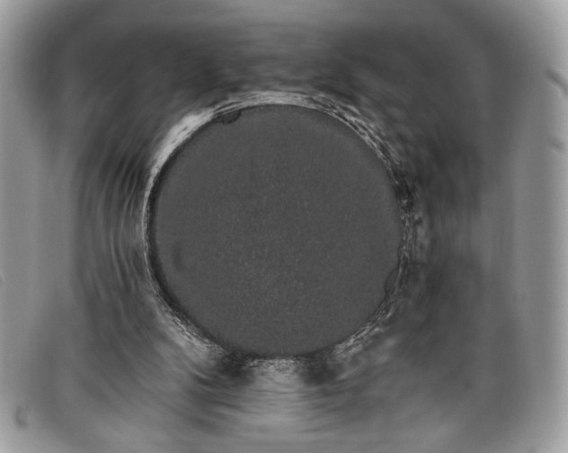 X0000098010104200804111242