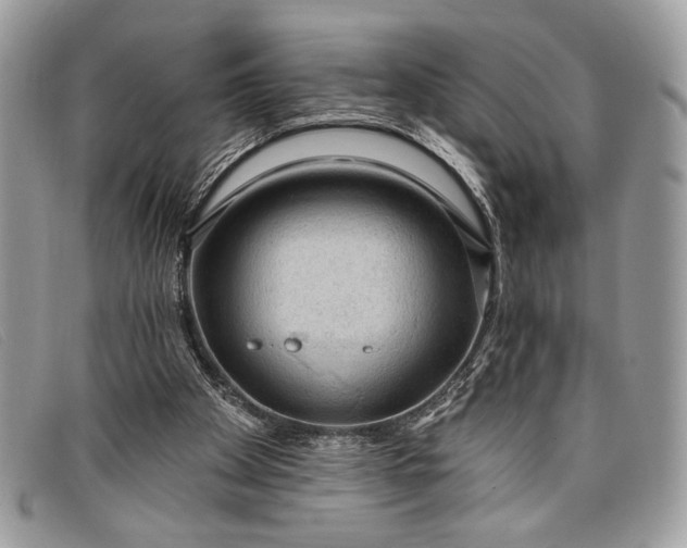 X0000098010105200804111242