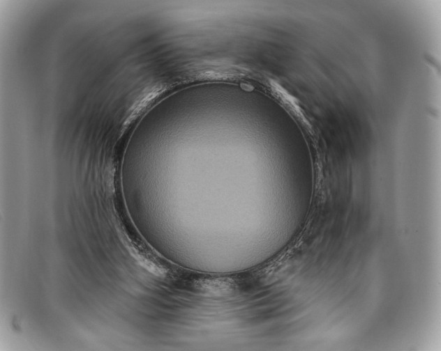 X0000098010106200804111242