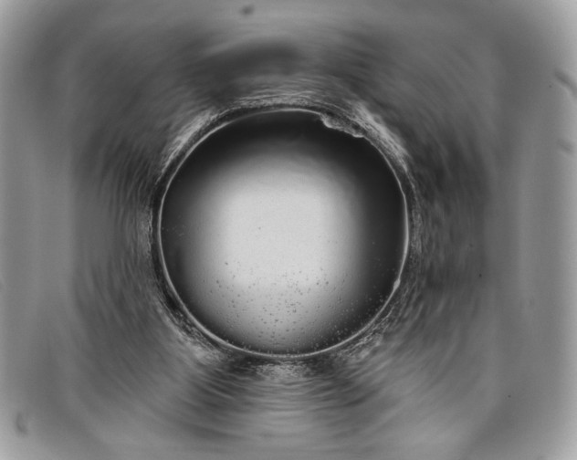 X0000098010107200804111242