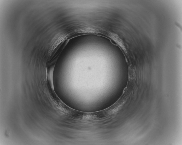 X0000098010109200804111242