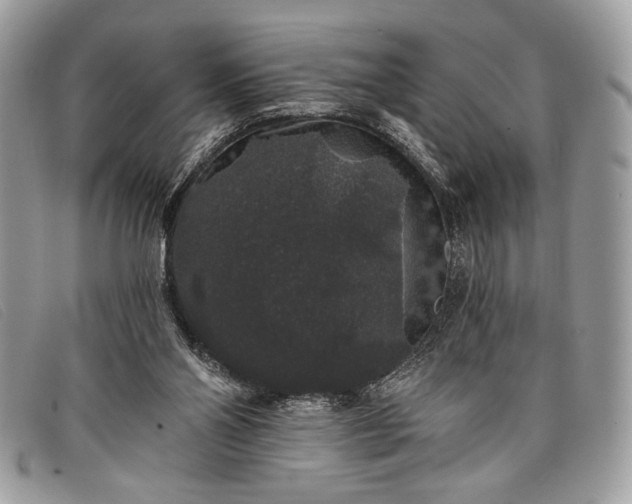 X0000098010110200804111242