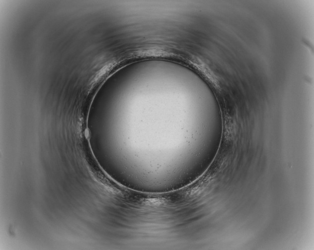 X0000098010111200804111242