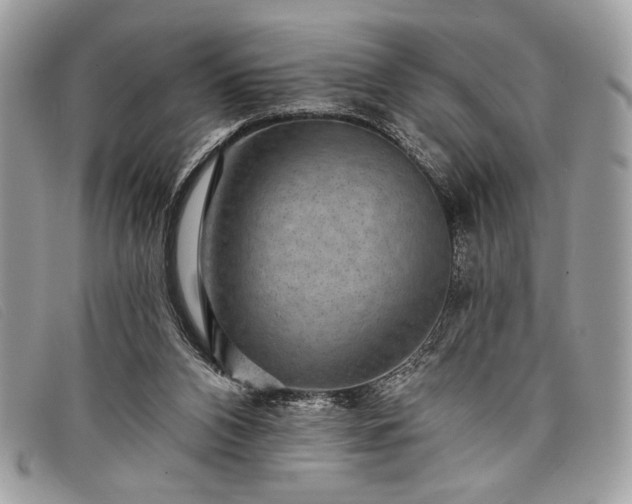 X0000098010112200804111242