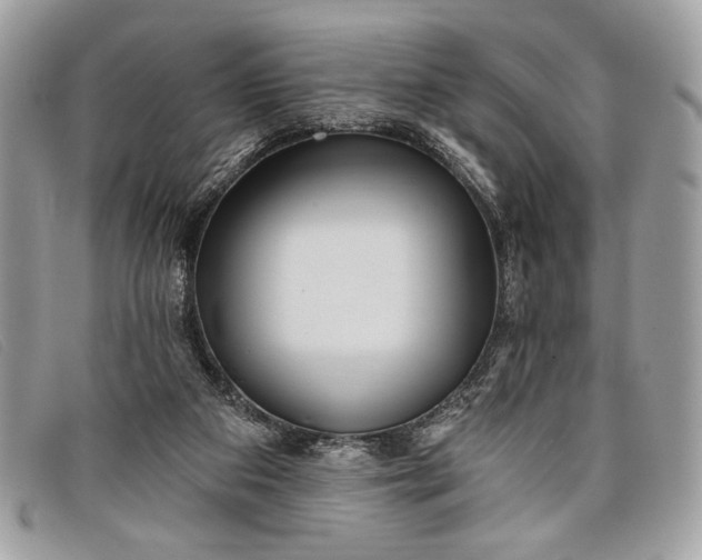 X0000098010113200804111242