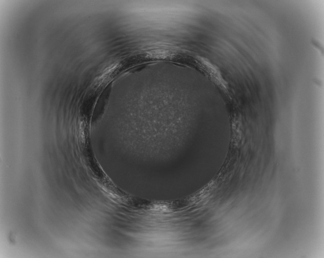 X0000098010114200804111242