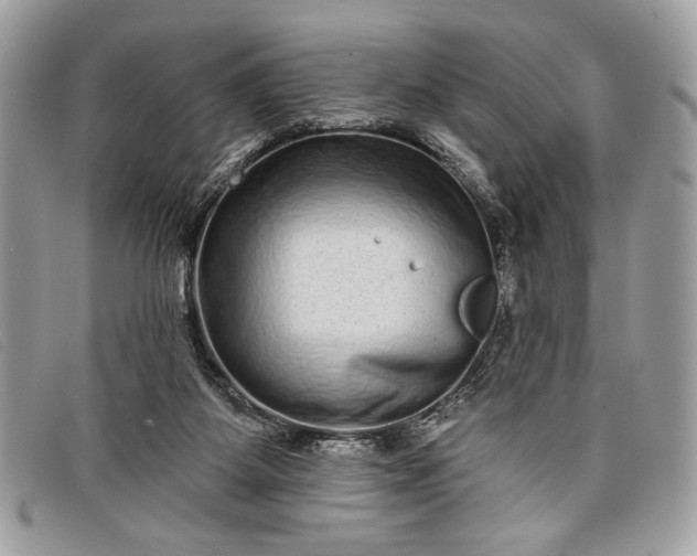 X0000098010115200804111242