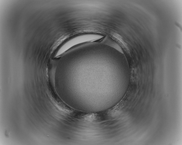 X0000098010116200804111242