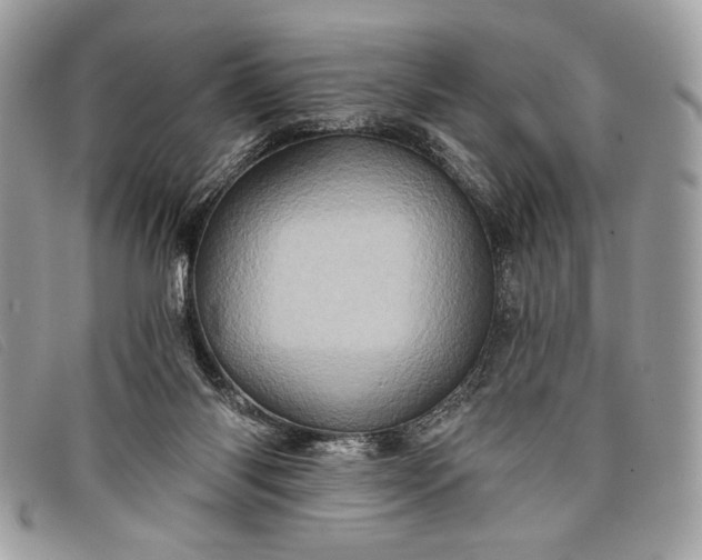 X0000098010118200804111242