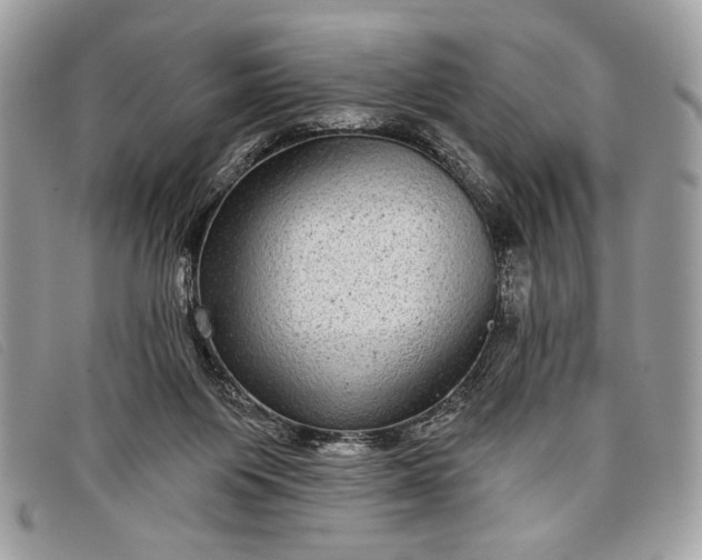 X0000098010119200804111242