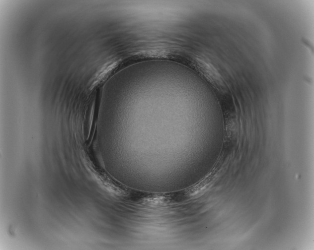 X0000098010120200804111242