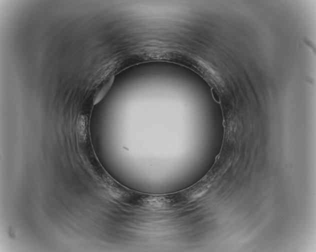 X0000098010121200804111242