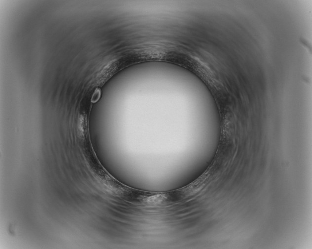 X0000098010122200804111242