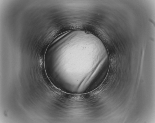 X0000098010123200804111242