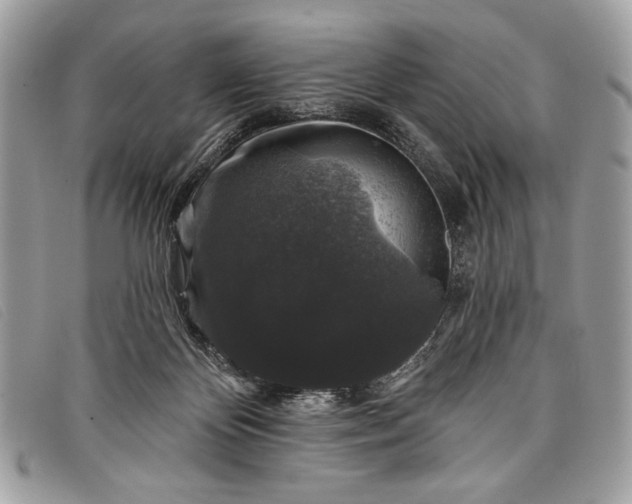 X0000098010124200804111242