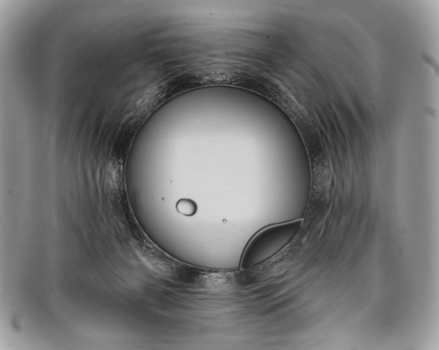 X0000098010126200804111242