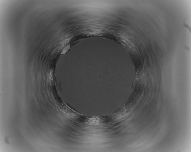 X0000098010127200804111242