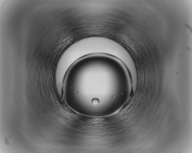 X0000098010128200804111242