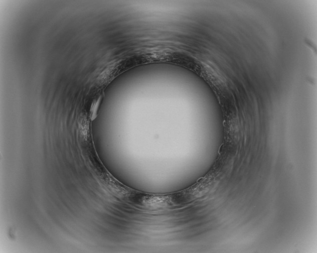 X0000098010129200804111242