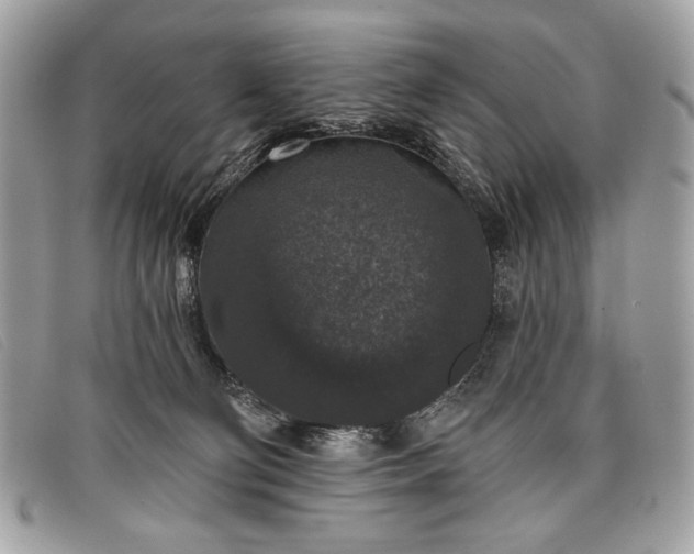 X0000098010130200804111242