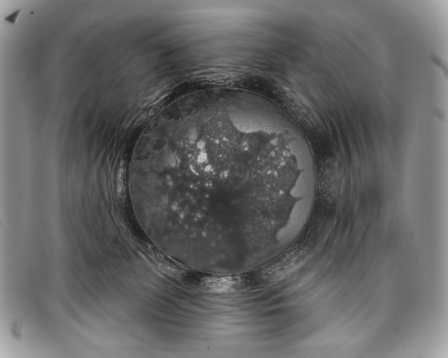 X0000098010131200804111242