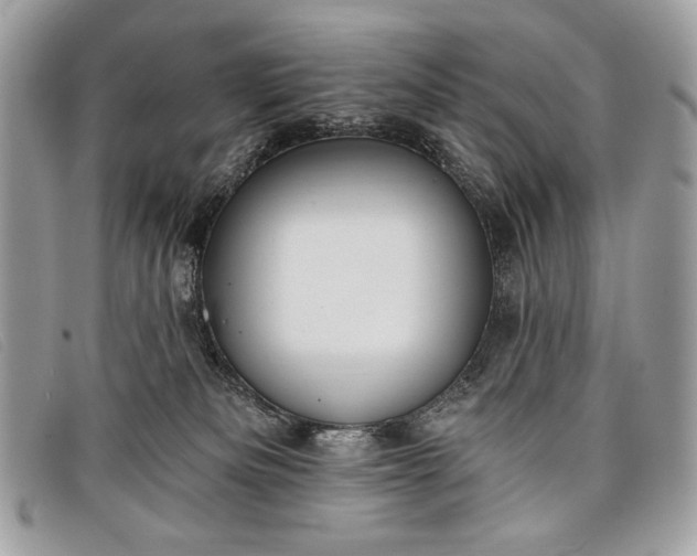 X0000098010133200804111242