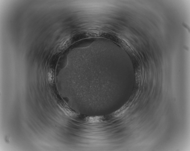 X0000098010134200804111242