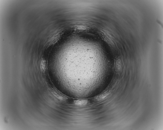 X0000098010135200804111242