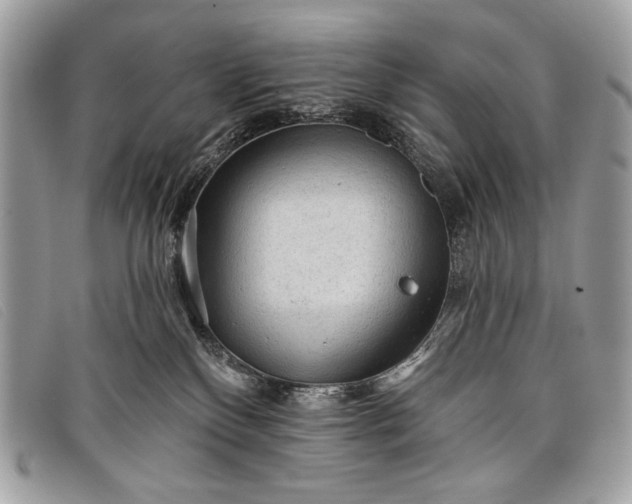 X0000098010136200804111242