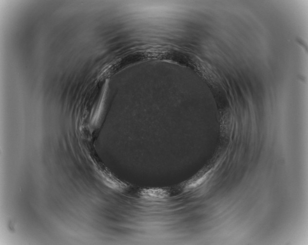 X0000098010137200804111242